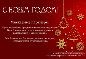 С Новым 2025 годом!