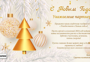 С Новым 2024 годом!